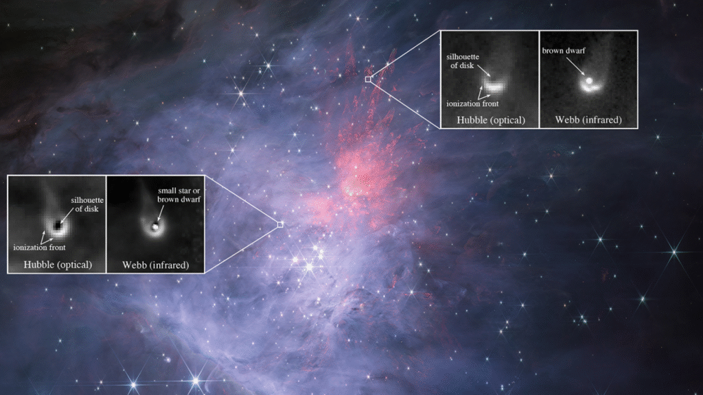 se han detectado discos planetarios alrededor de enanas marrones
