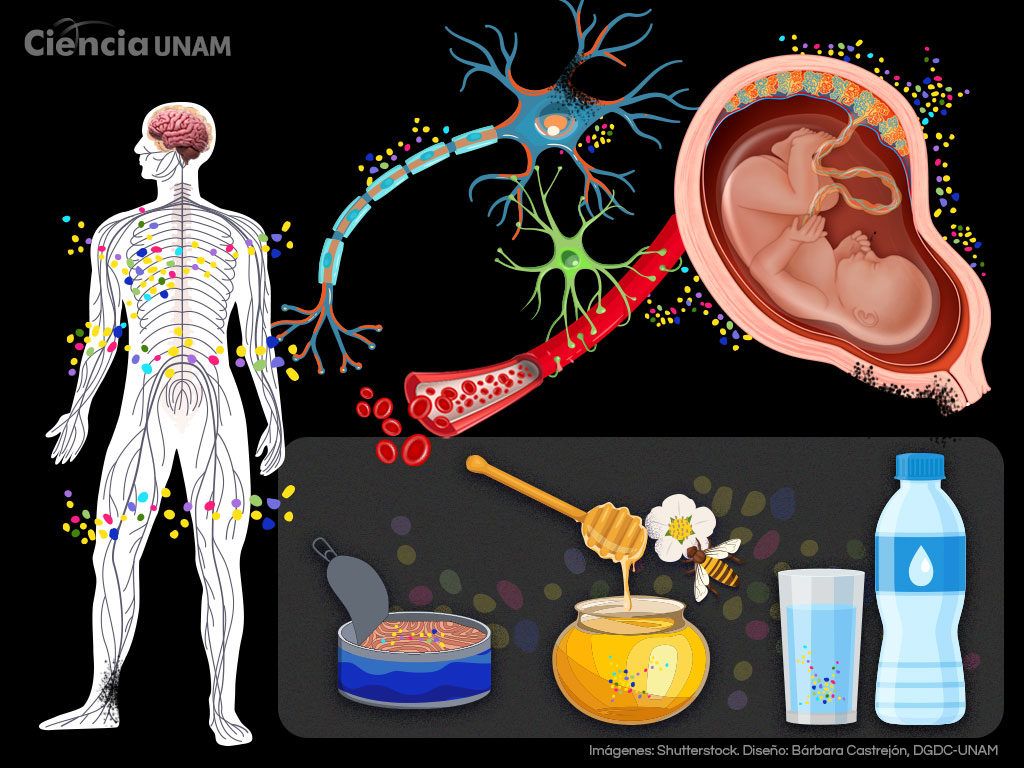 microplásticos e infertilidad humana