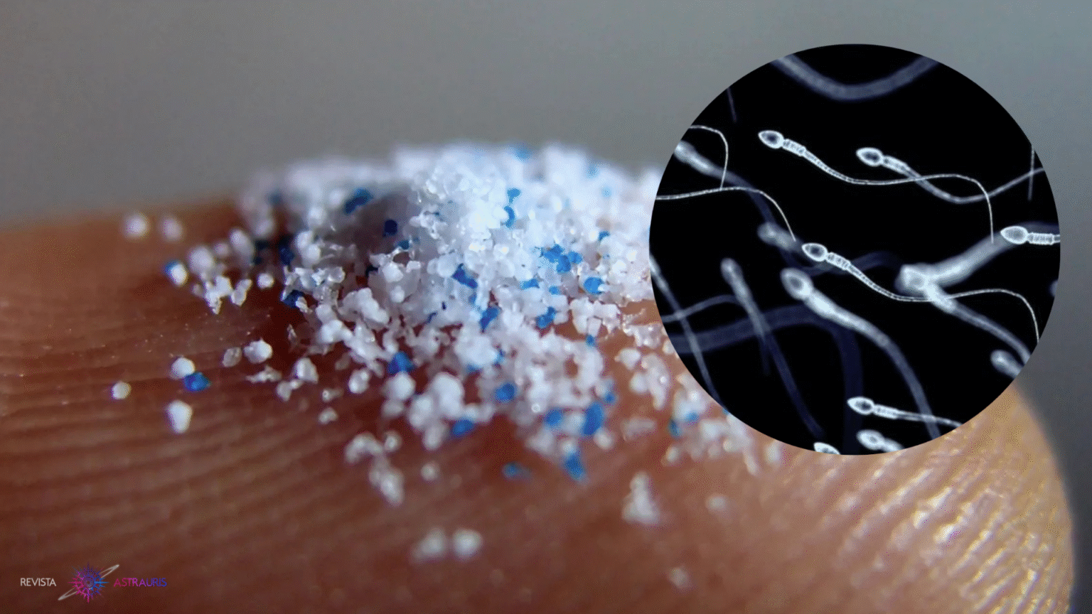micropl&aacute;sticos e infertilidad humana